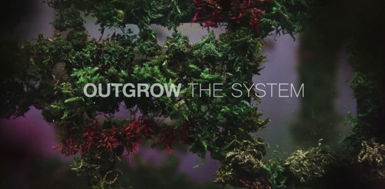 Outgrow the System